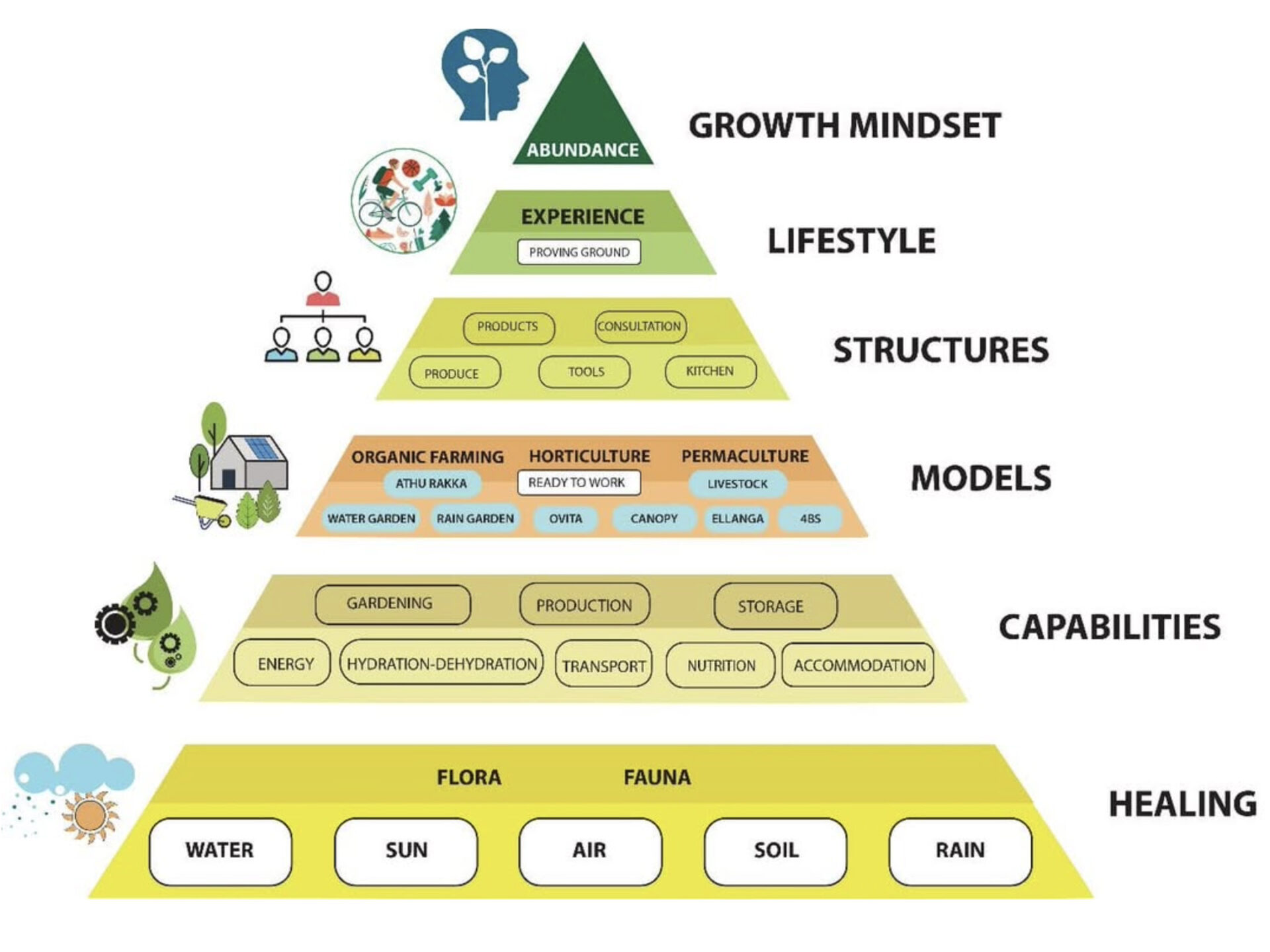 Abundance Model